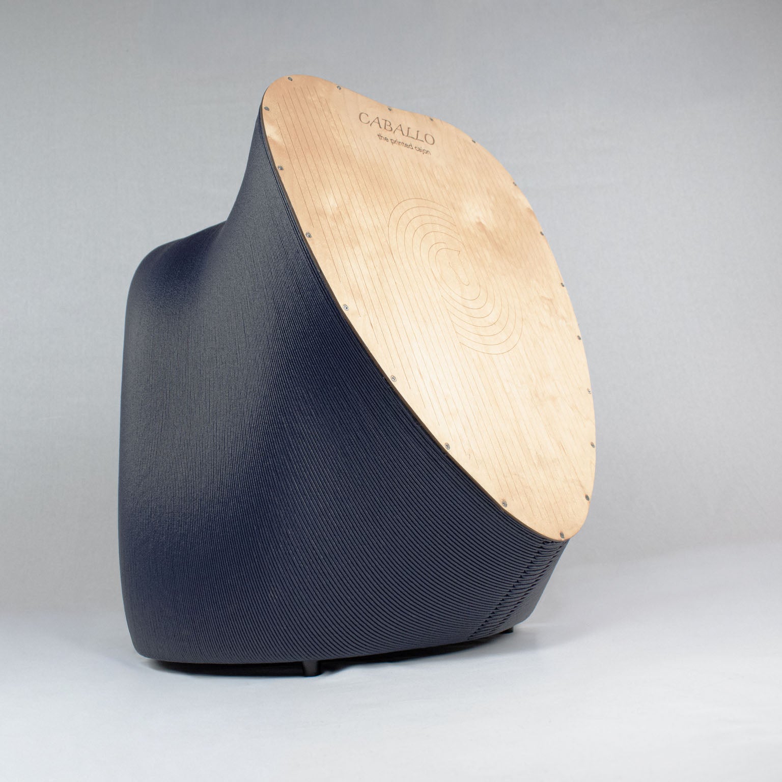 3D_printed_Cajon_Caballo_L